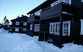 Apartment Gaustablikk